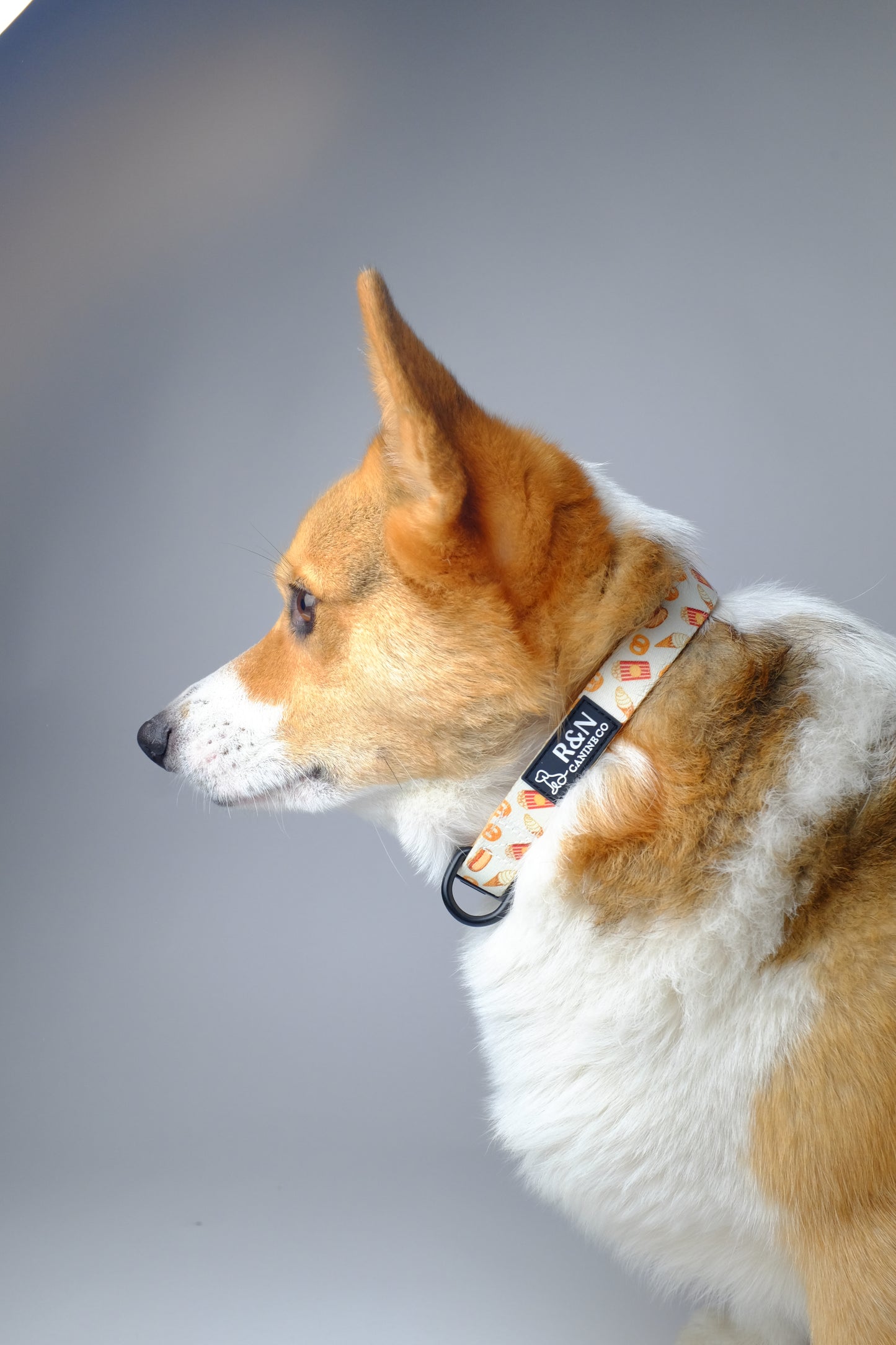 Snack Cart Dog Collar
