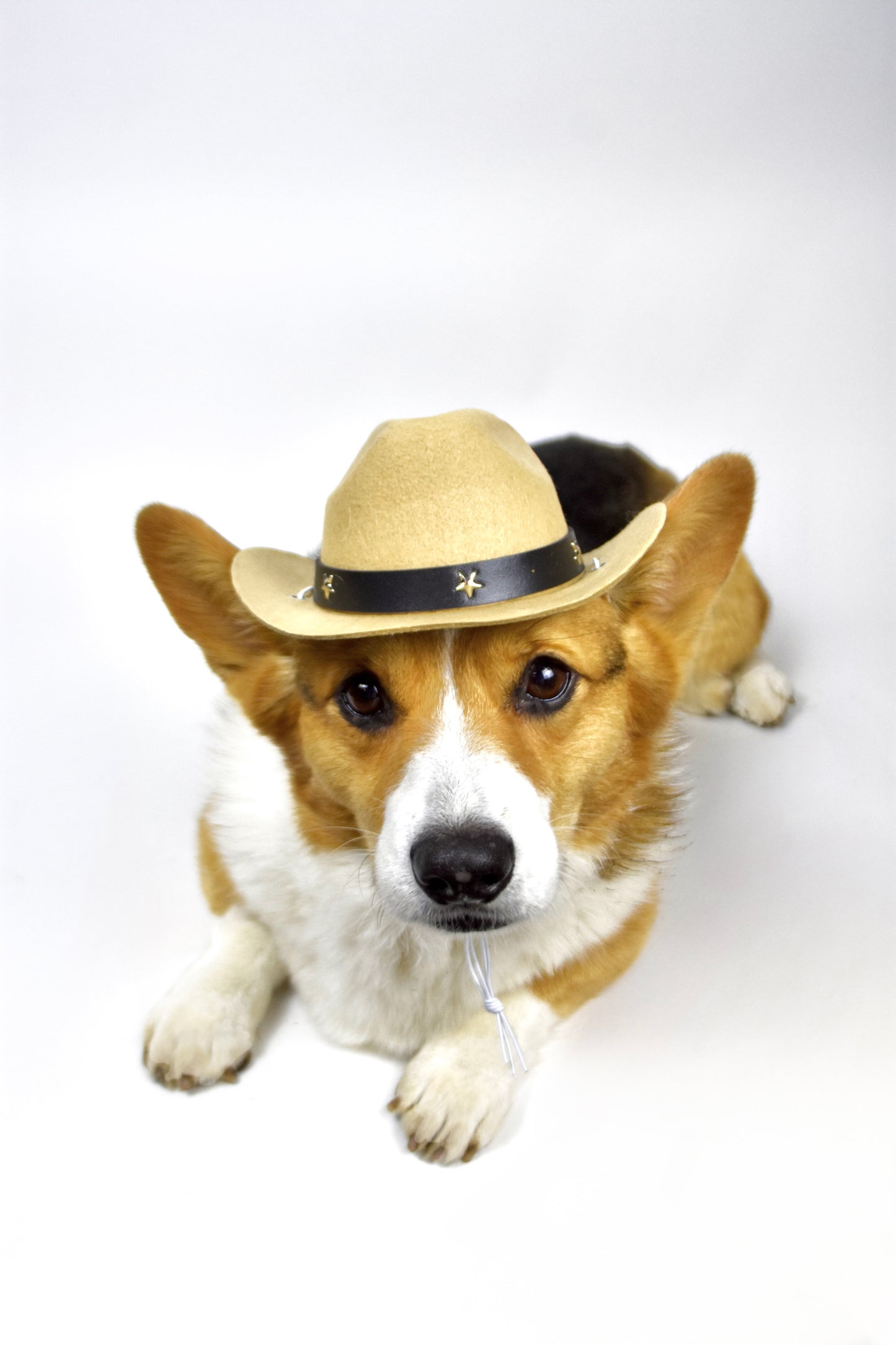 Desert Dawg Khaki Cowboy Canine Hat