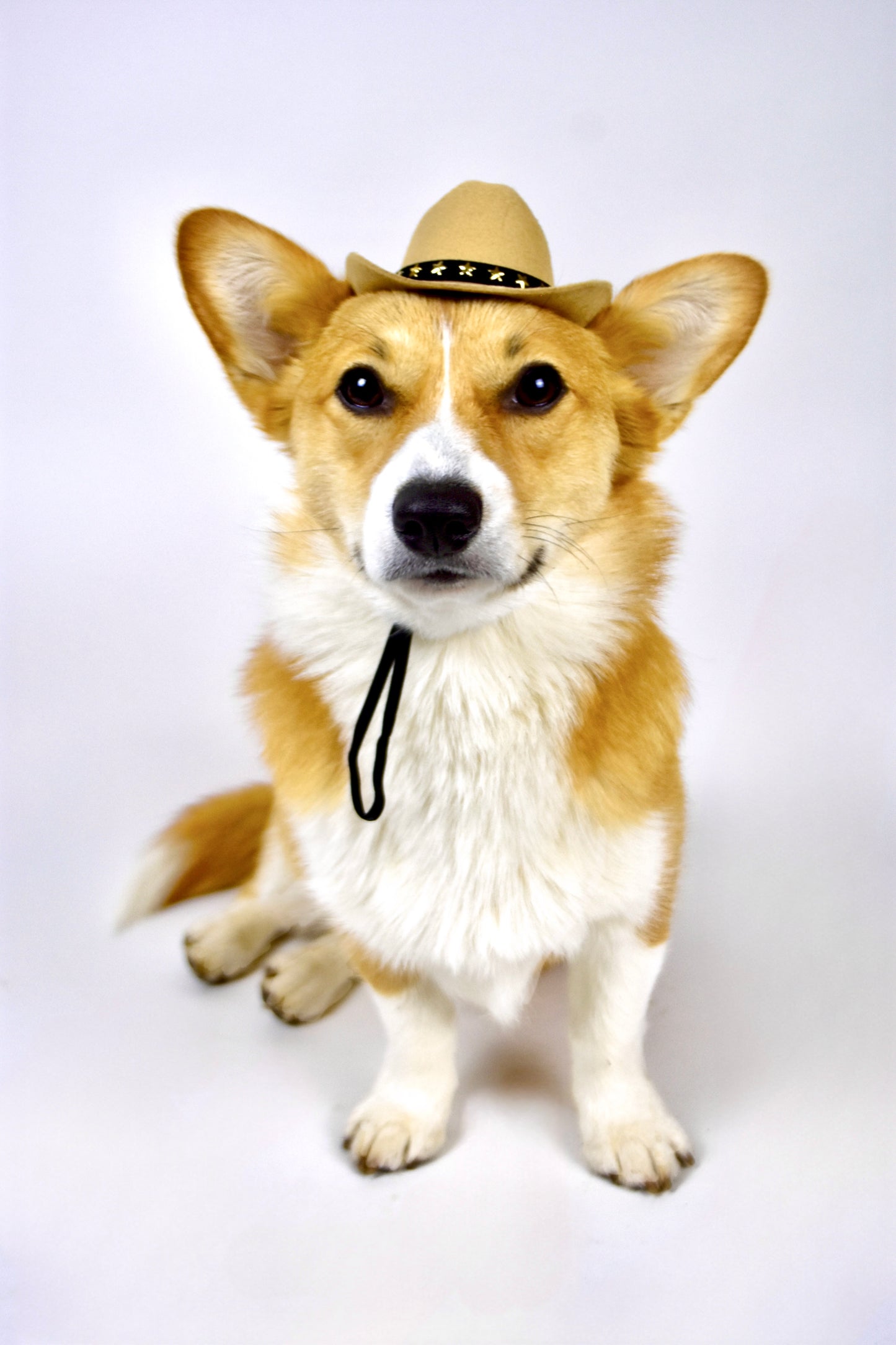 Desert Dawg Khaki Cowboy Canine Hat