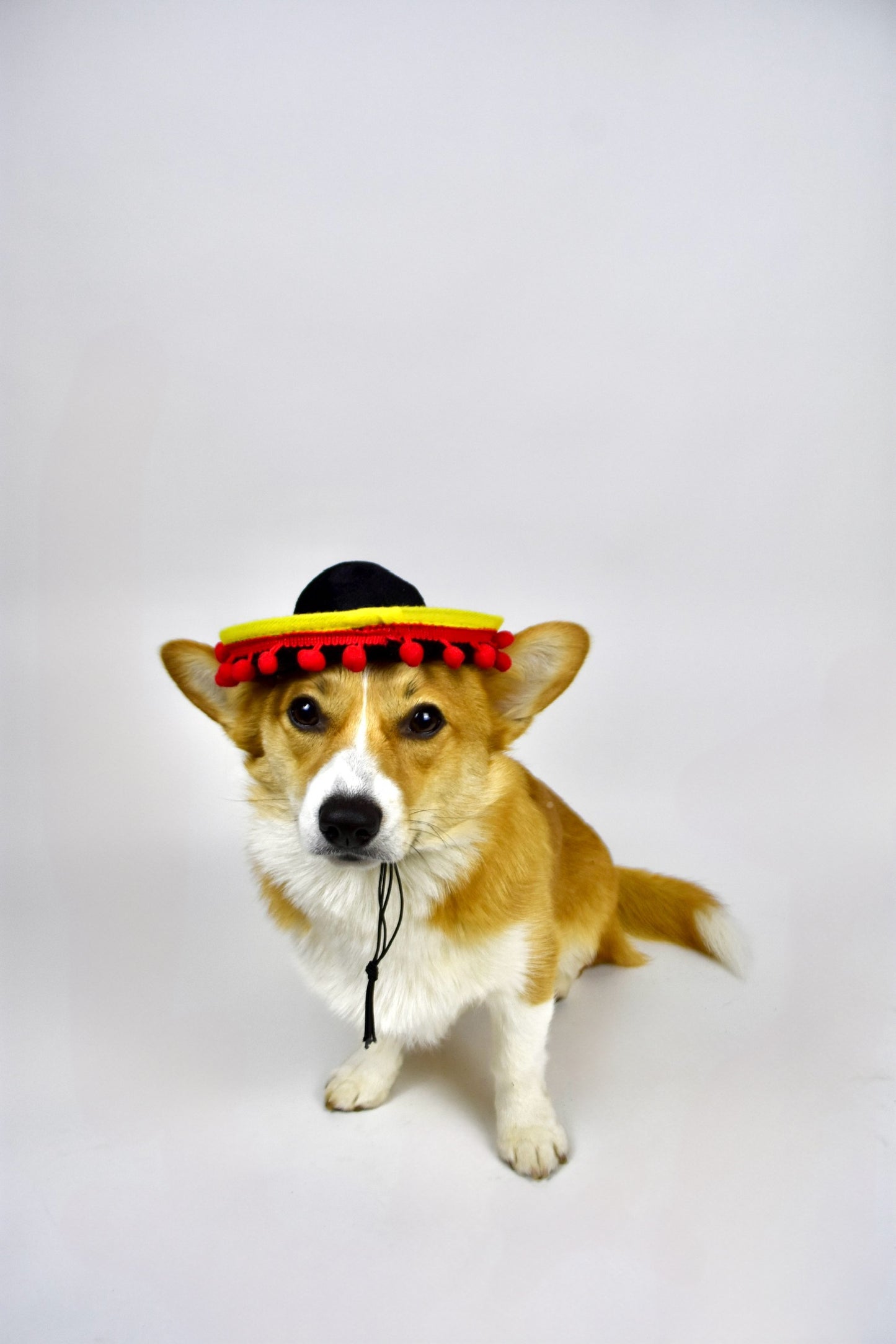 Fiesta Noir Dog Sombrero with Hanging Balls