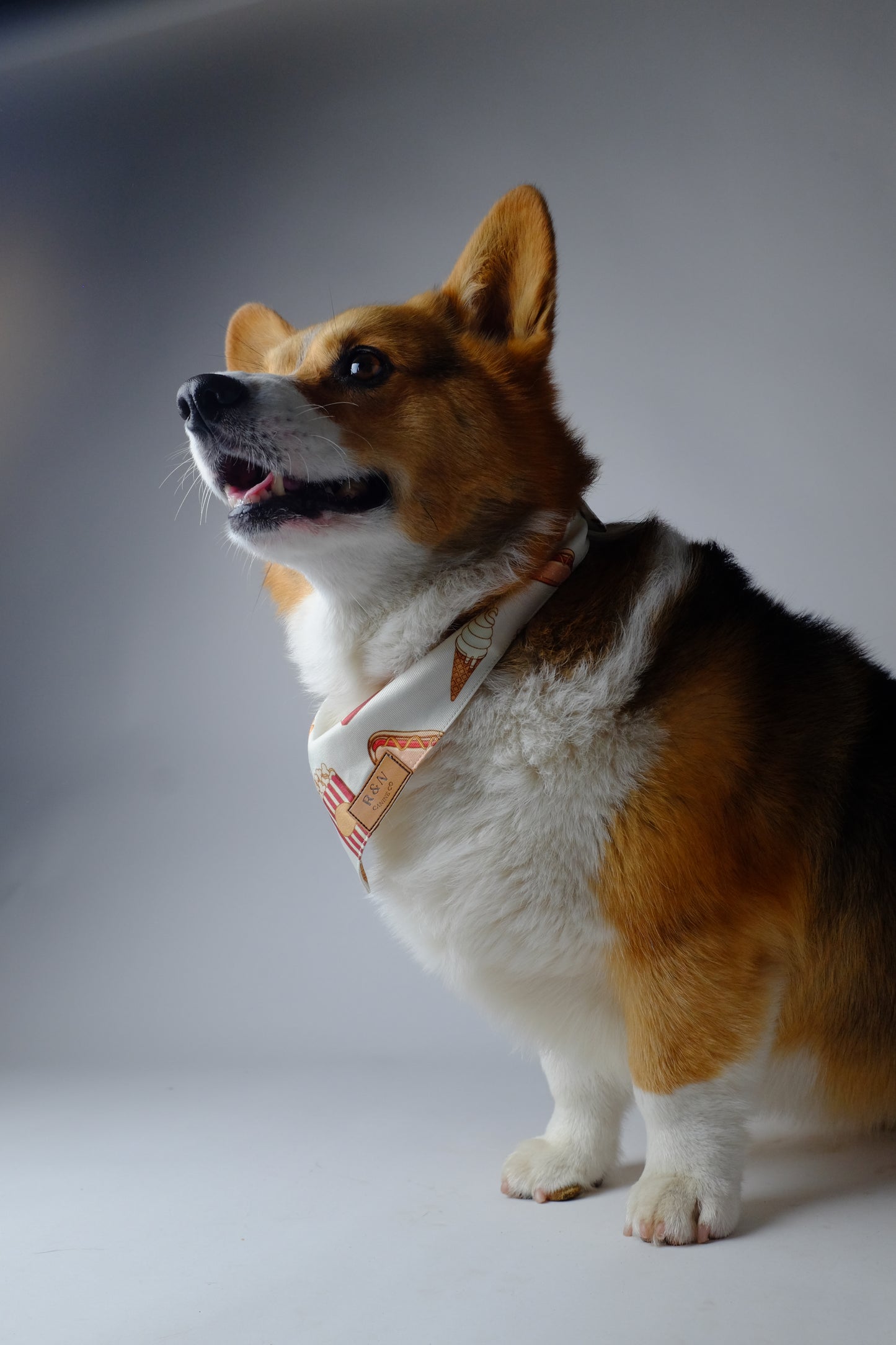 Snack Cart Bandana