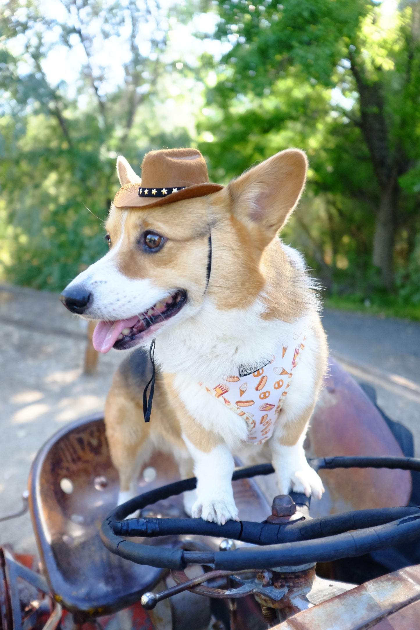 Snack Cart Dog Harness