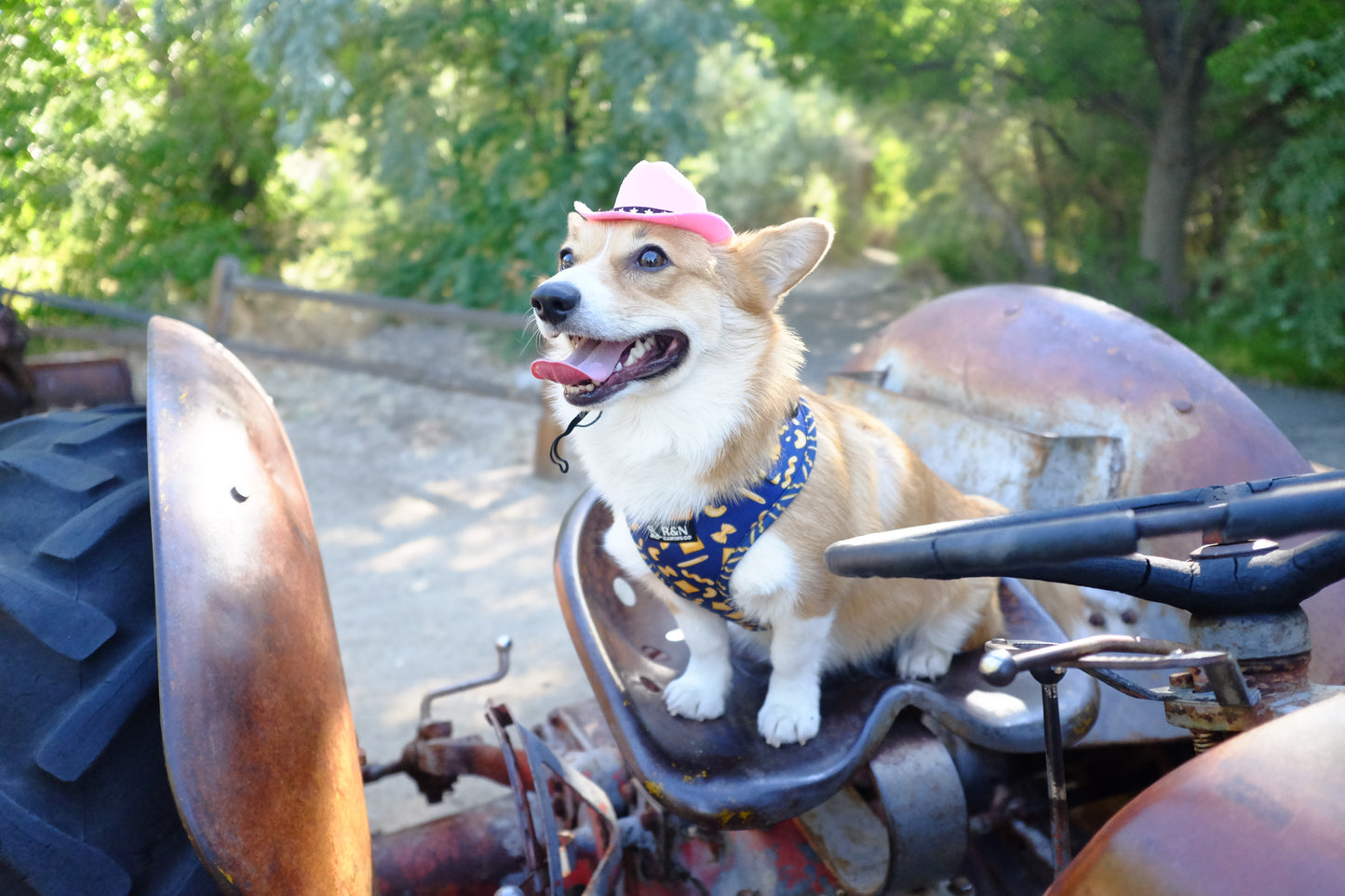 Pink Paws Wrangler Hat