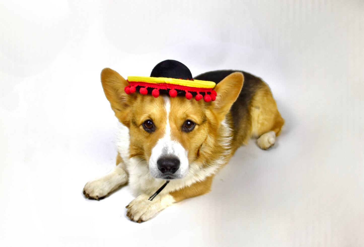 Fiesta Noir Dog Sombrero with Hanging Balls