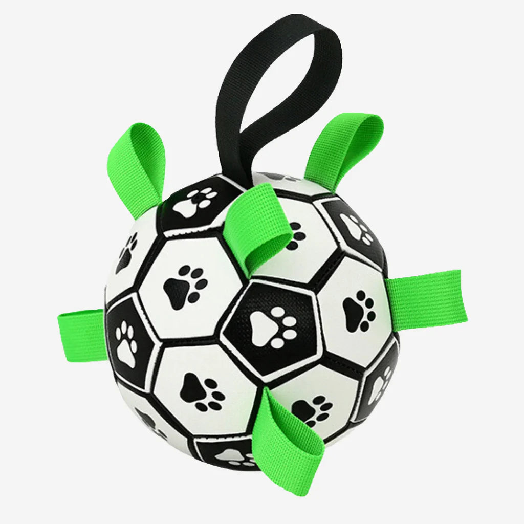 Soccer Ball with Tabs & Pump