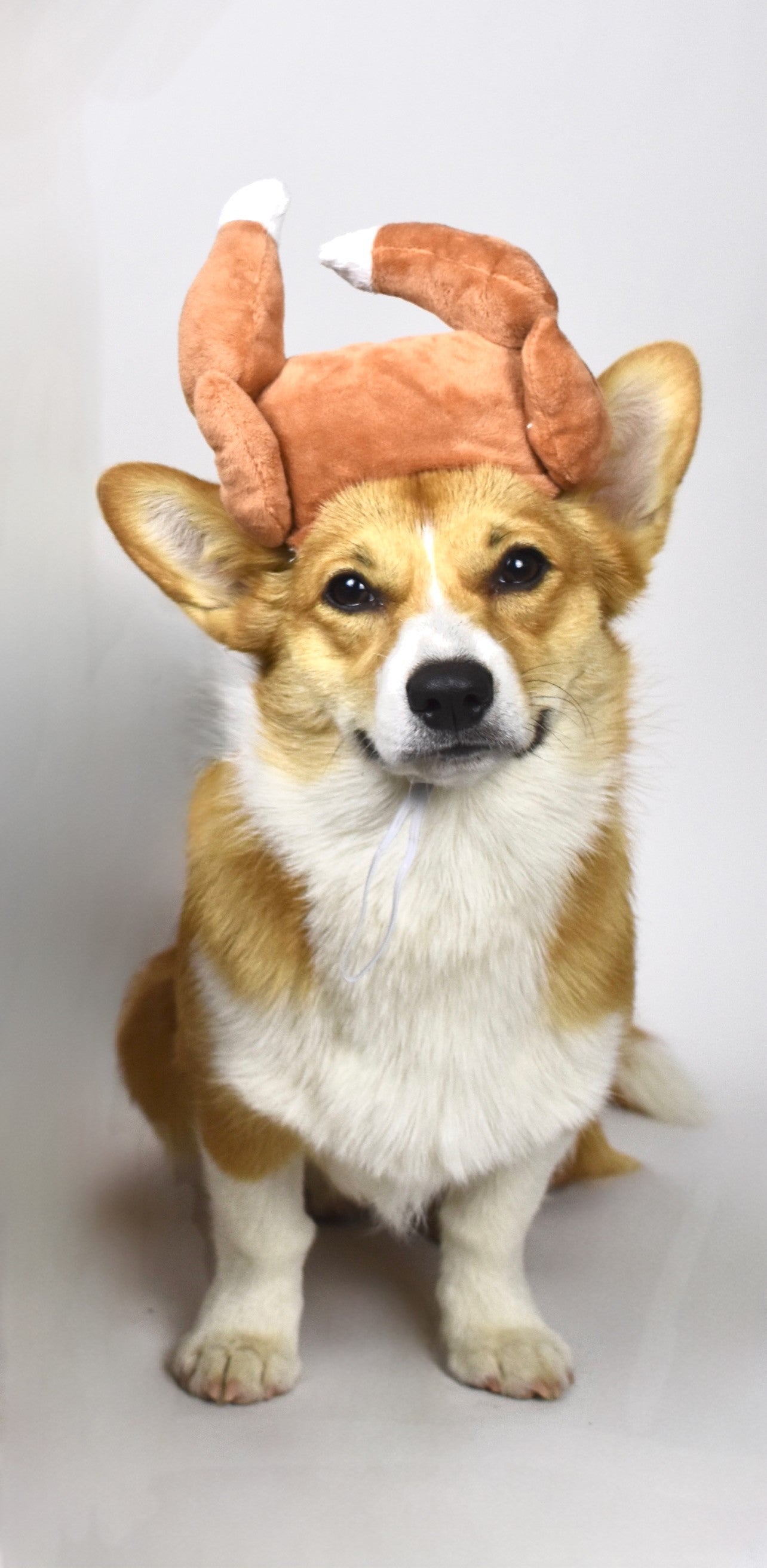 Turkey Hat